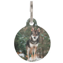 Wolfdog Haustiermarke