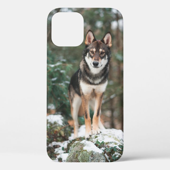 Wolfdog iPhone 12 Hülle (Rückseite)