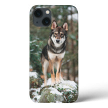 Wolfdog iPhone 13 Fall
