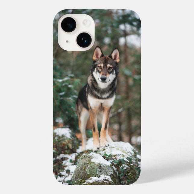 Wolfdog iPhone 14 Hülle (Rückseite)