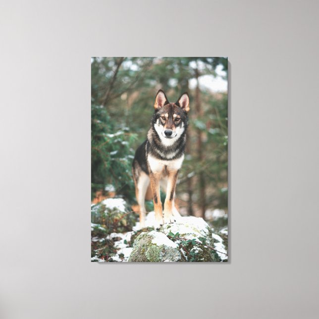 Wolfdog Leinwanddruck (Vorderseite)