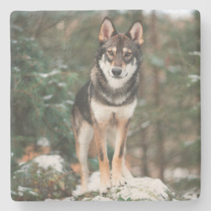 Wolfdog Stone Untersetzer