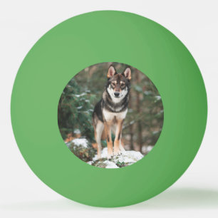 Wolfdog Tischtennisball