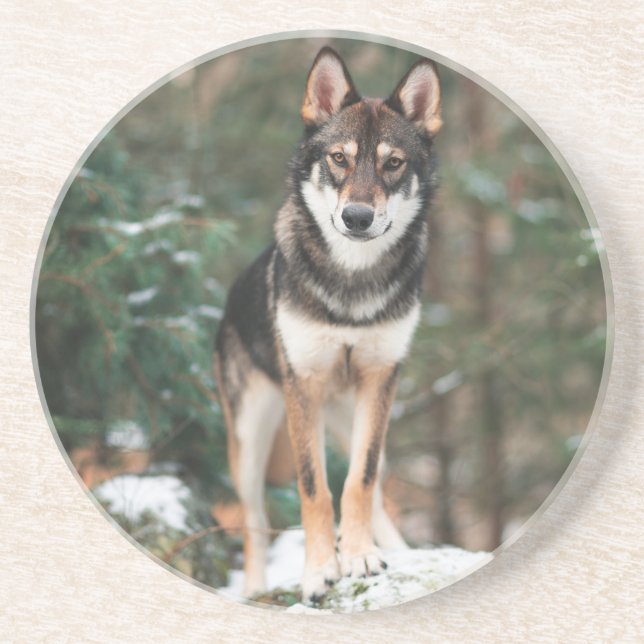 Wolfdog Untersetzer (Vorne)