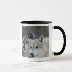 Wölfe (Canus Lupus)   WestYellowstone Tasse