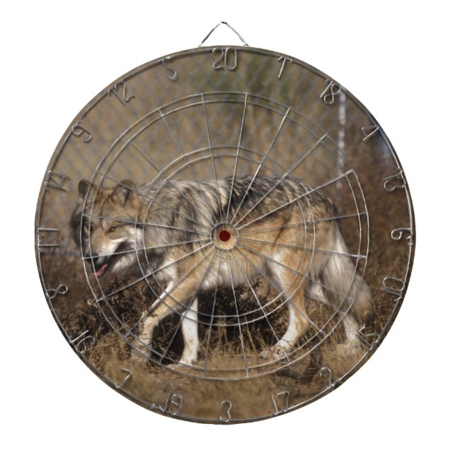 WÖLFE DARTSCHEIBE (vorne)
