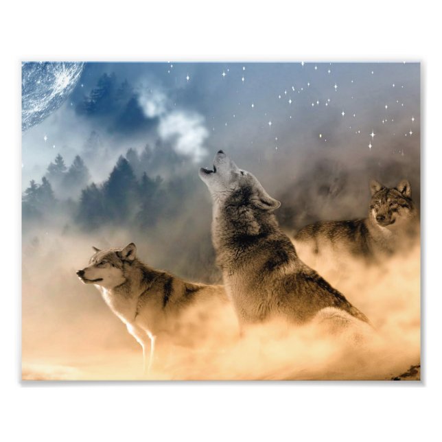 Wölfe Foto Art Print (Vorne)