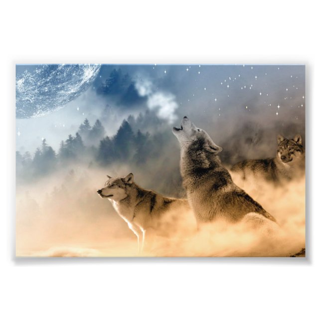 Wölfe Foto Art Print (Vorne)