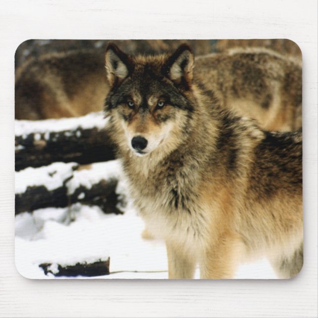 Wölfe im Schnee Mousepad (Vorne)