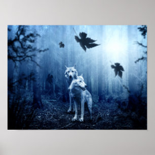 Wölfe im Wald bei Morgendämmerung Poster