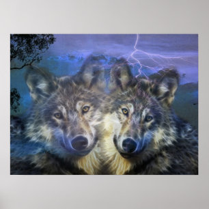 Wölfe in der Nacht Poster