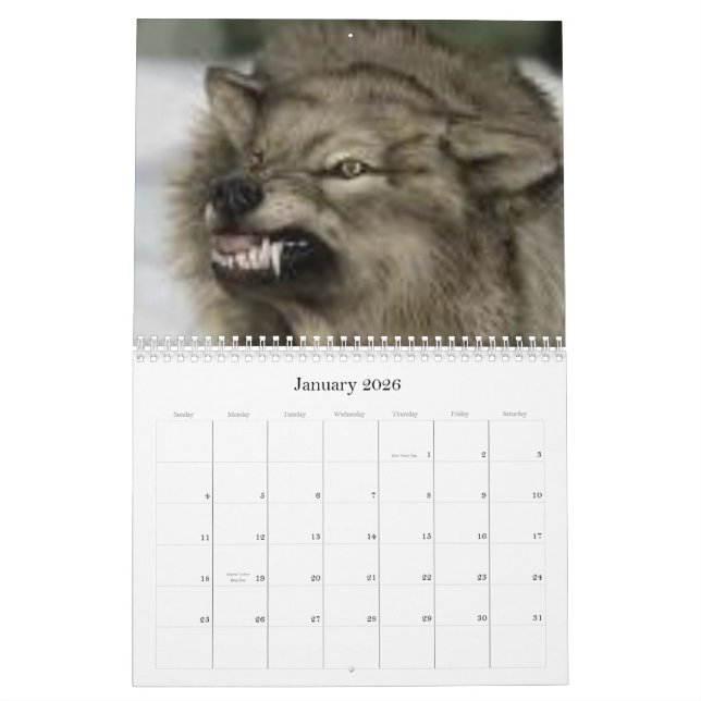 Wölfe Kalender (Jan 2026)