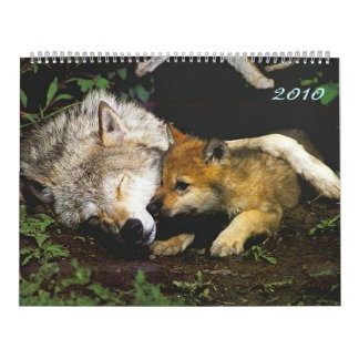 Wölfe mit Welpen - Kalender 2010