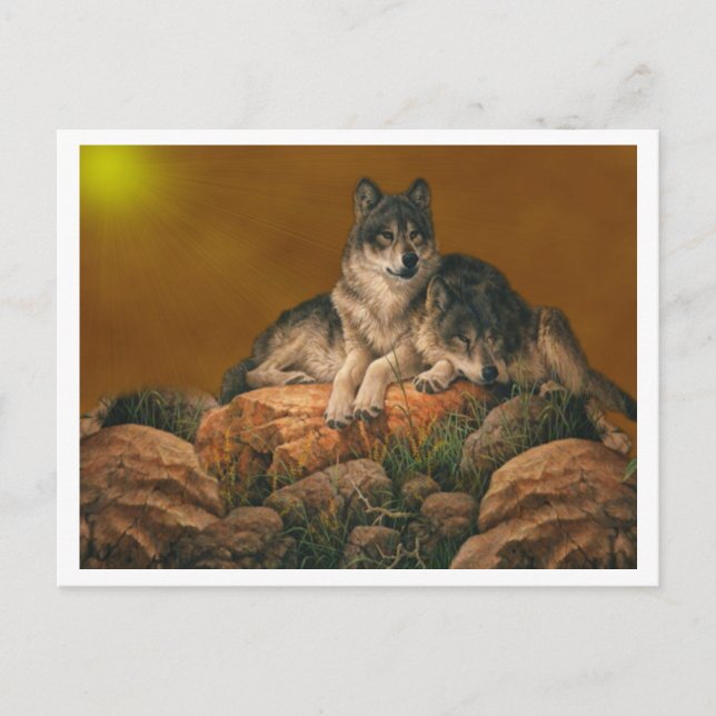 Wölfe Postkarte (Vorderseite)