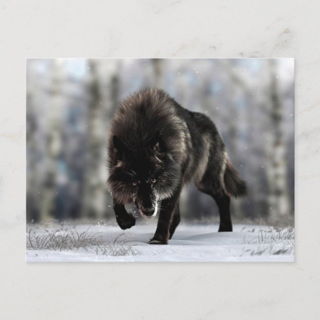 Wölfe Postkarte (Vorderseite)
