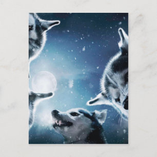 Wölfe und Mond Postkarte