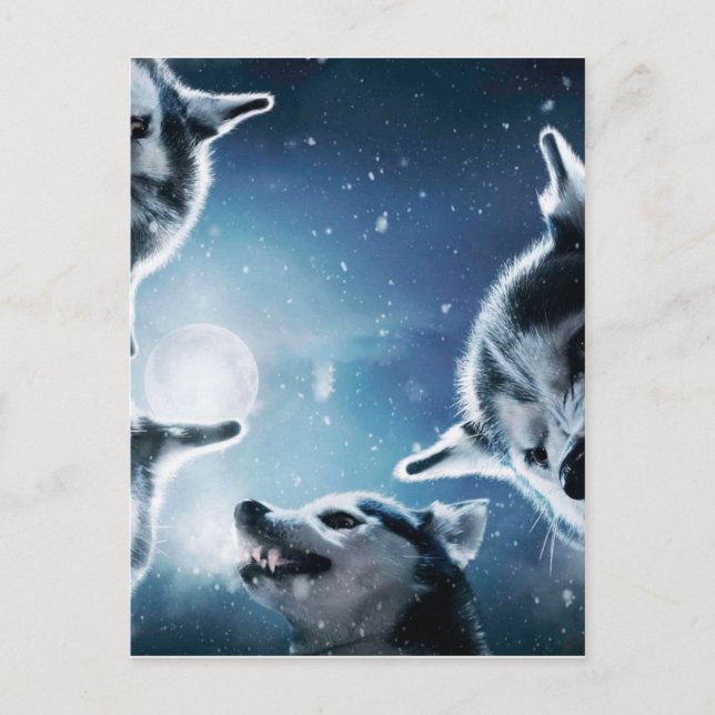Wölfe und Mond Postkarte (Vorderseite)