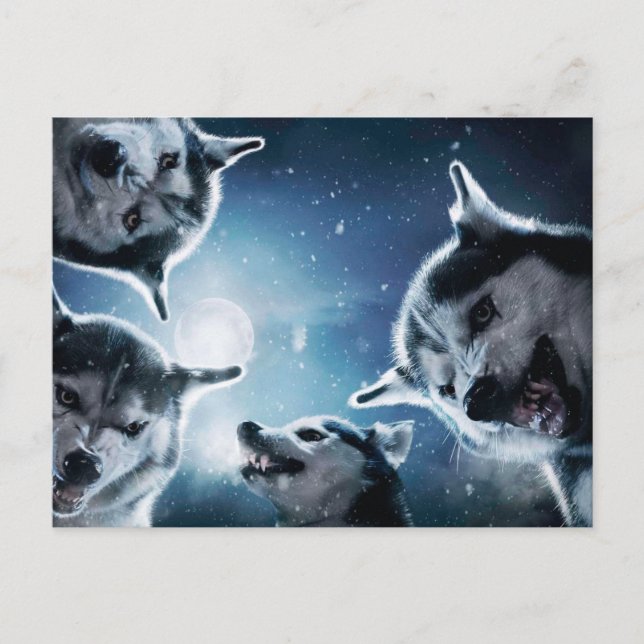 Wölfe und Mond Postkarte (Vorderseite)