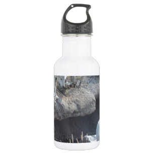 Wölfe Wald Natur Land Frieden Liebe Tier Trinkflasche