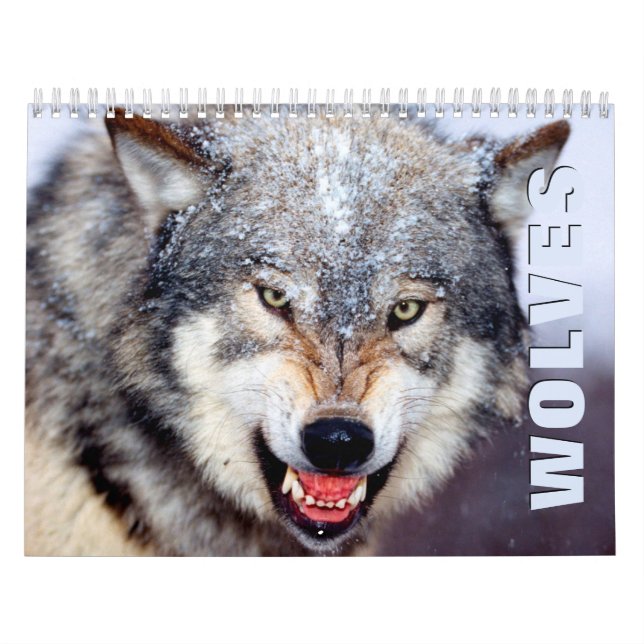 Wölfe Wall Calendar Kalender (Titelbild)