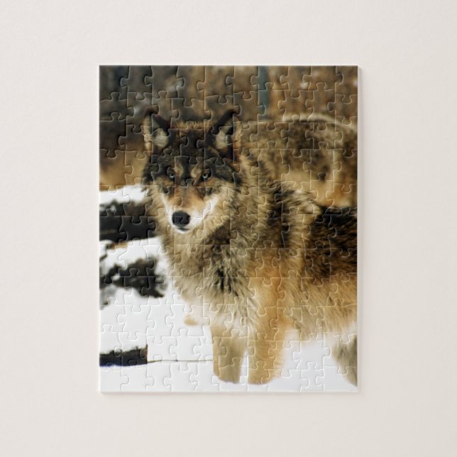 Wolfen im Schnee (Vertikal)