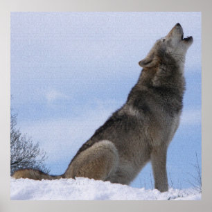 Wolfheulen Poster