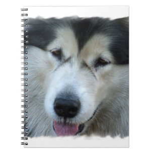 Wolfmalamute-Bild-Notizbuch Notizblock