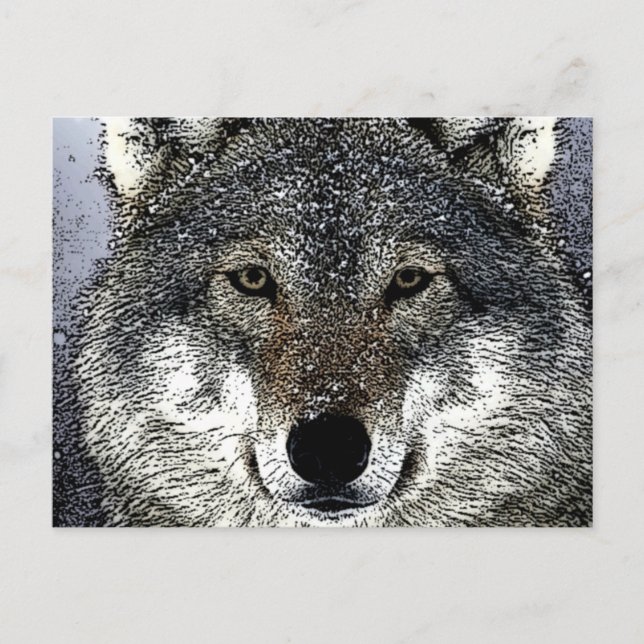 Wolfsaugen Postkarte (Vorderseite)