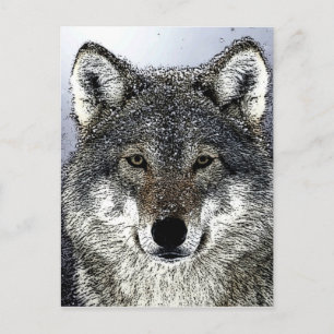 Wolfsaugen Postkarte
