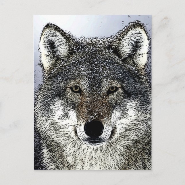 Wolfsaugen Postkarte (Vorderseite)