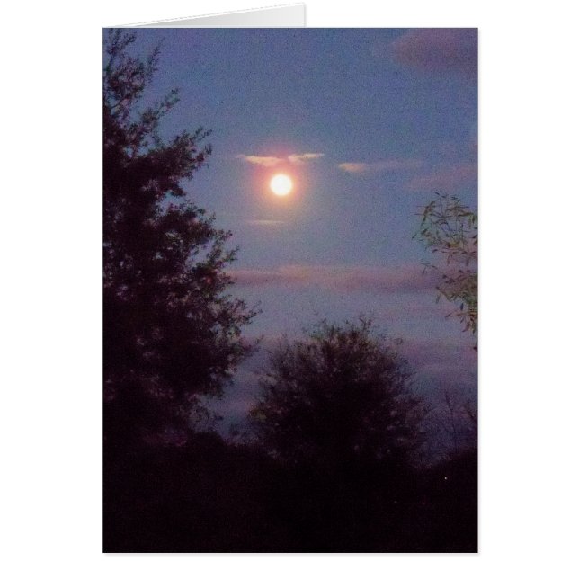 Wolfsmond steigt bei Dämmerung auf - auf einer lee (Vorne)