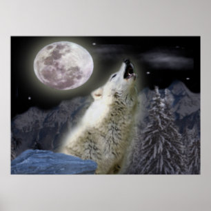 Wolfsplakat Poster