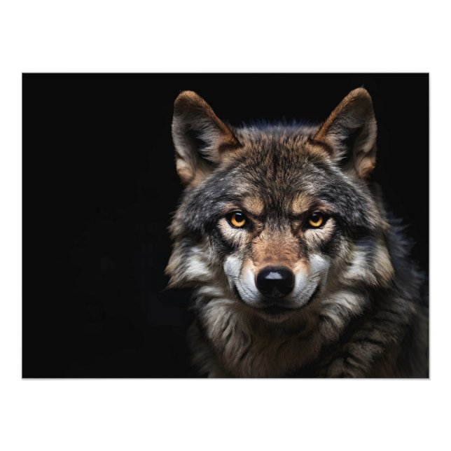 Wolfsprotrait Fotodruck (Vorne)
