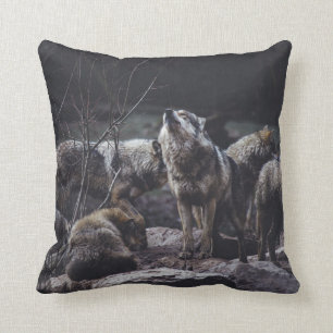 WOLFSRUDEL AUF FELSFORMATION KISSEN