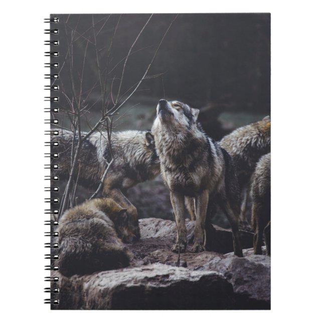 WOLFSRUDEL AUF FELSFORMATION NOTIZBLOCK (Vorderseite)