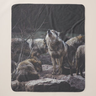 WOLFSRUDEL AUF FELSFORMATION SHERPADECKE
