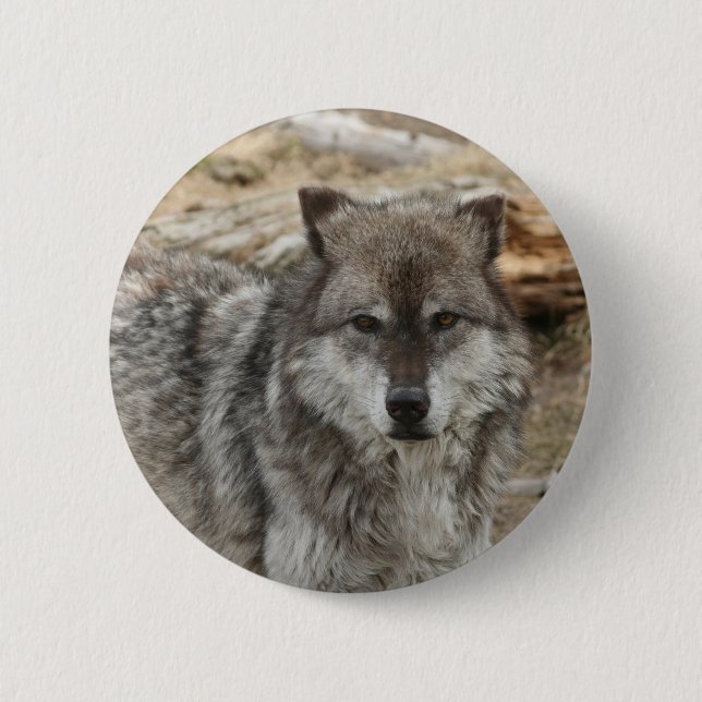 Wolftiergesicht mustert Hunde- WaldZoopark Button (Vorderseite)
