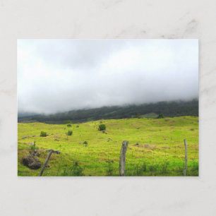 Wolken, die auf Weiden und Postkarte absinken