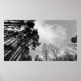 Wolken, Poster