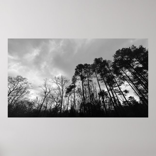 Wolken, Poster (Vorne)