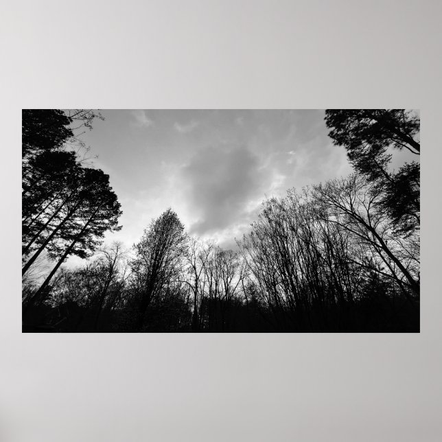 Wolken, Poster (Vorne)