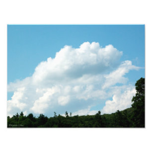 Wolken treffen Bäume Fotodruck
