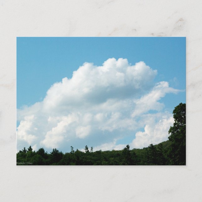 Wolken treffen Bäume Postkarte (Vorderseite)