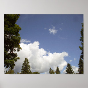 Wolken über Baumspitzen Poster