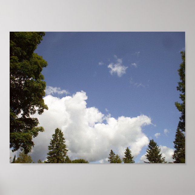 Wolken über Baumspitzen Poster (Vorne)