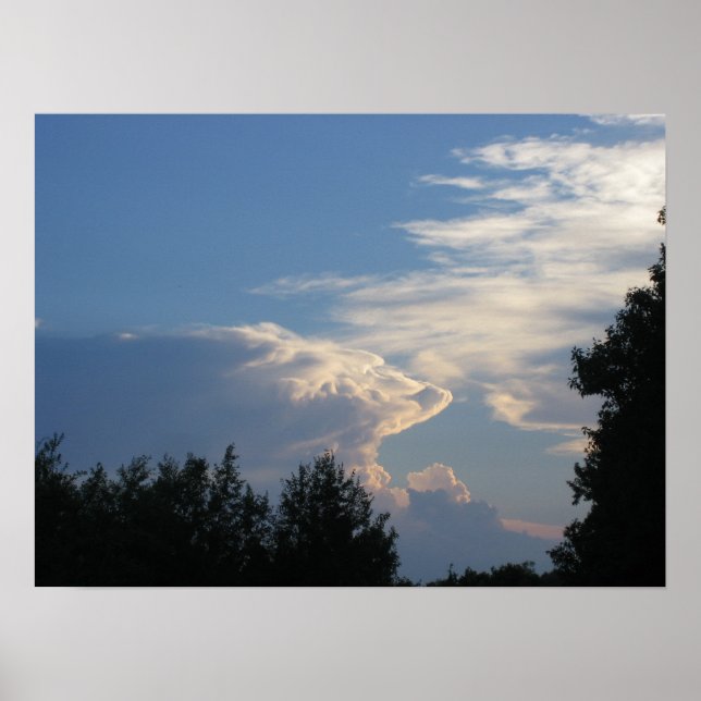 Wolken und Bäume Poster (Vorne)