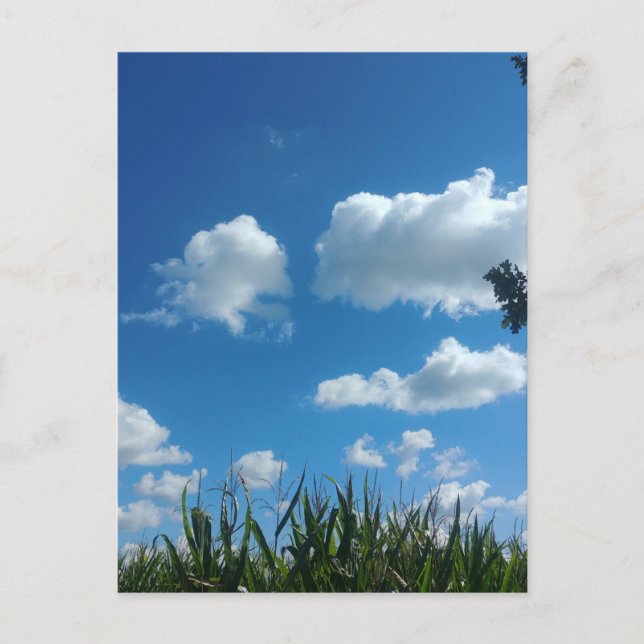 Wolken und blauer Himmel Postkarte (Vorderseite)