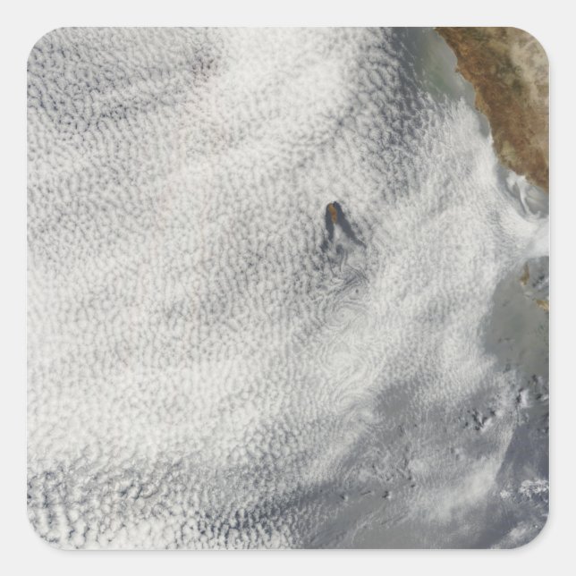 Wolkenbrüche und Ruhm vor der Insel Guadalupe Quadratischer Aufkleber (Vorderseite)