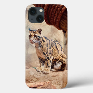 Wolkendecke Landschaftsbild exotische Tierwelt Case-Mate iPhone Hülle