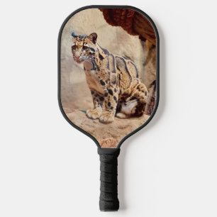 Wolkendecke Landschaftsbild exotische Tierwelt Pickleball Schläger